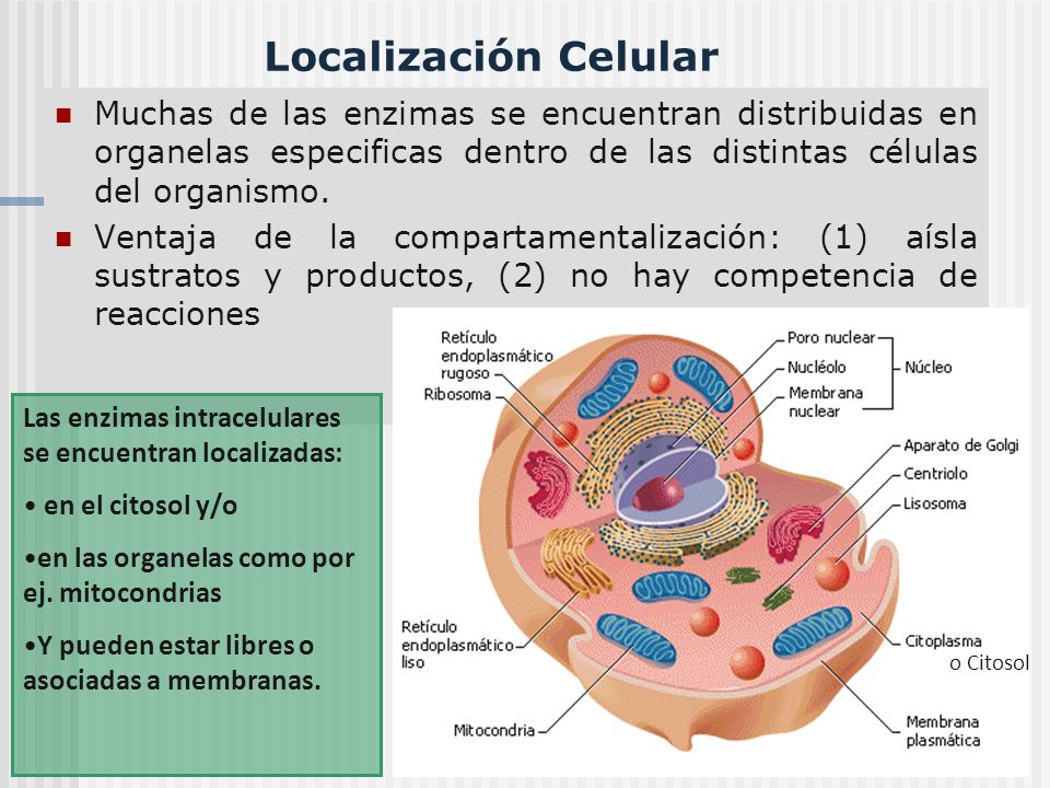 Últimas preguntas